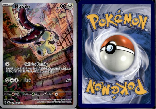 be0b30dad5bbd6f494bc6c06d73320c9