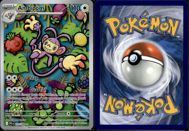 d0d0001ac51be6670e403c59fc99b554