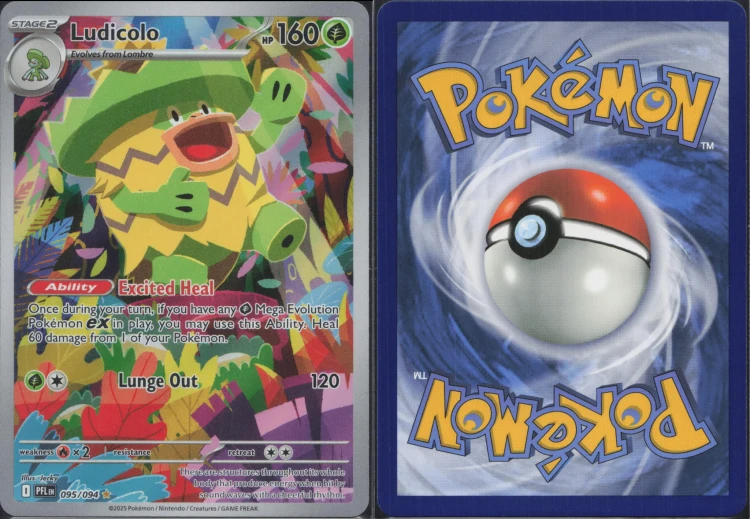 a17555b18b39037c1465790b1dd4acc1